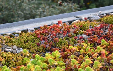 the cost of Maidenhall green roof installation