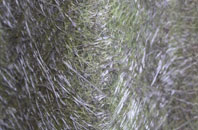 Maidenhall fibreglass roof work